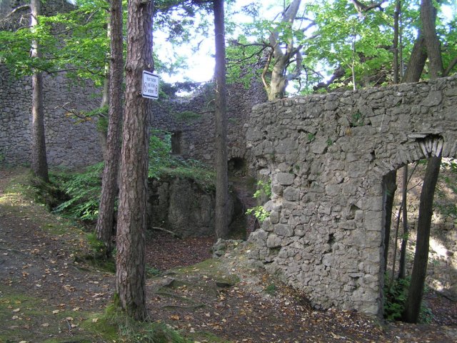 Burgruine Wildenfels