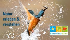 BayernTourNatur!